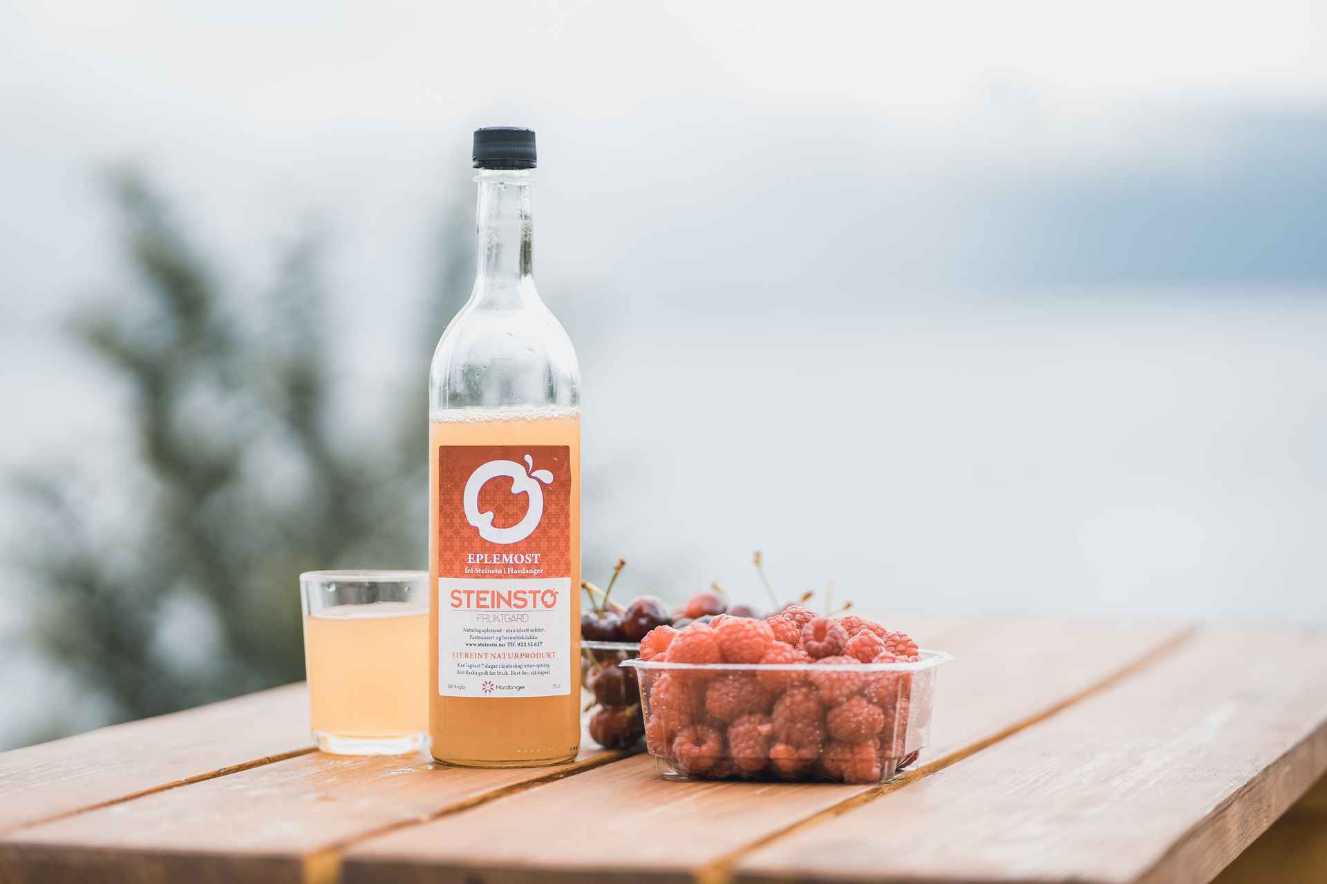 berries-juice-hardanger-Simon Sjøkvist - Visit Hardangerfjord