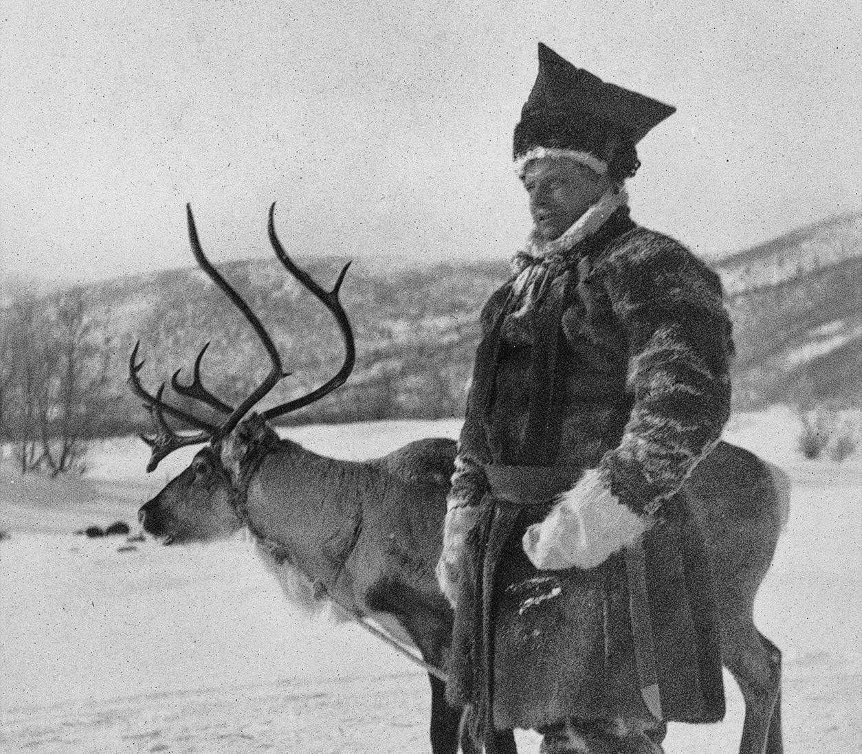 A black and white image of a Sami herder with his reindeer