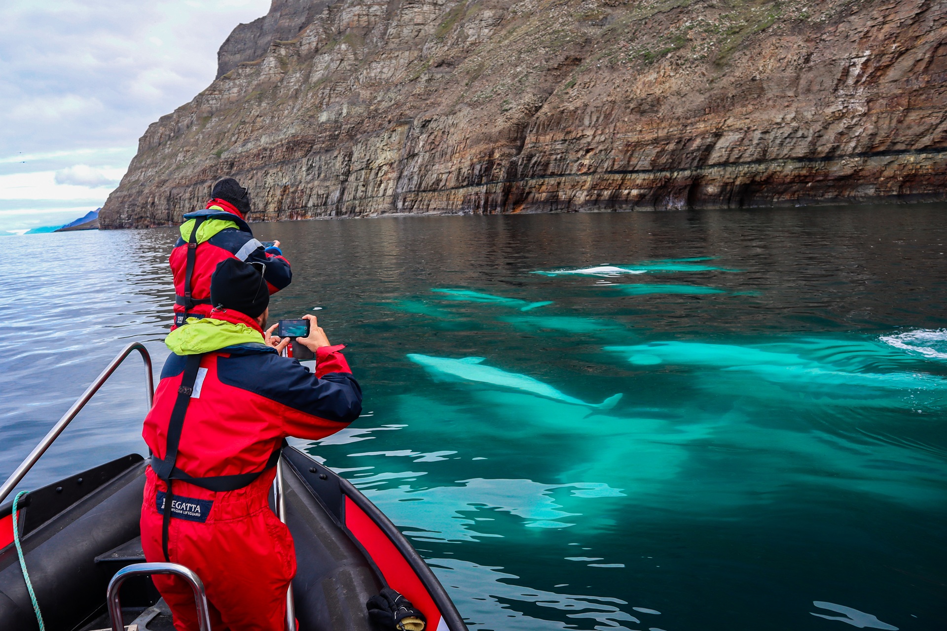 hurtigruten-svalbard-boat-people-photographing-dolphins-underwater-isfjord-eveline-lunde
