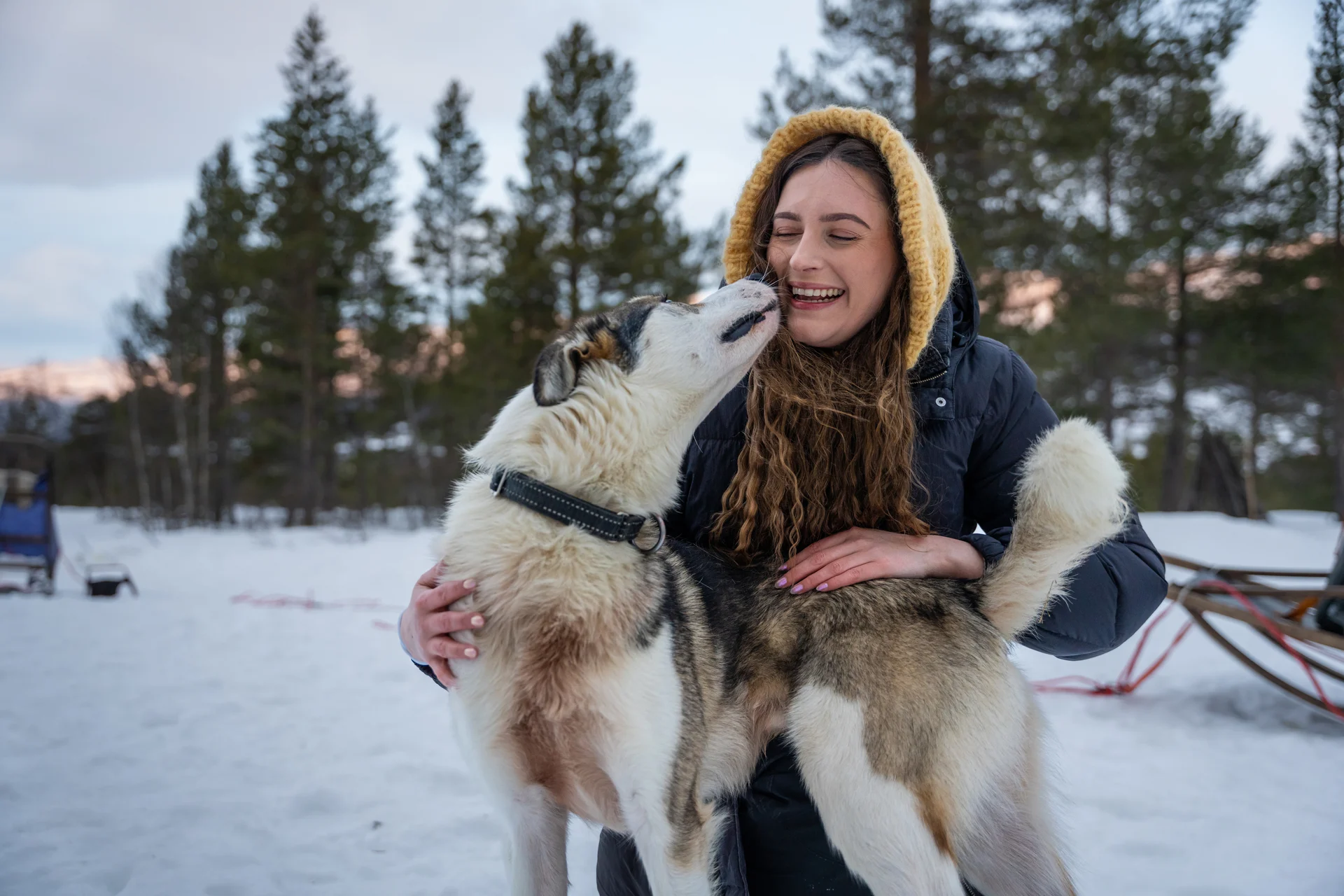 dog-sledding-tromso-168009-Christoffer Sandmark-Visit Norway