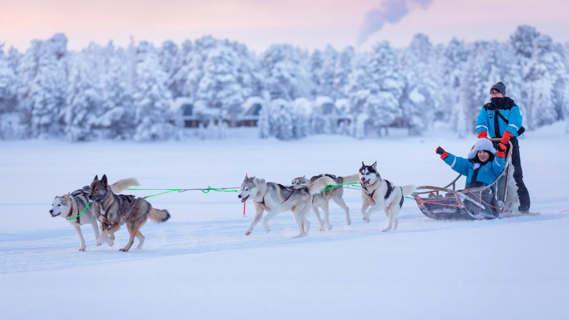 Husky-dog-20190202-5D-L2150-1920x1080