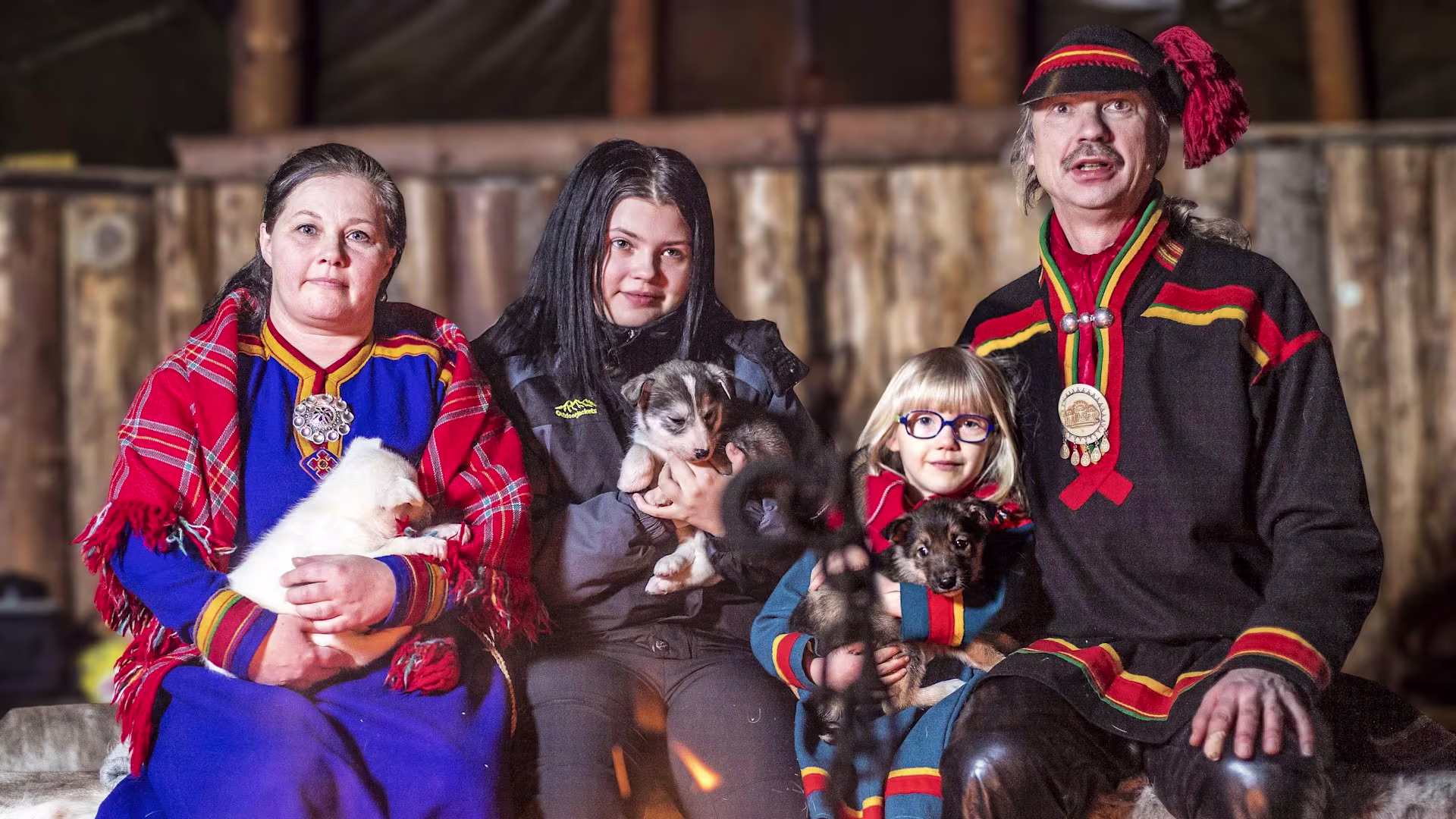 sami-husky-narvik-NVK4