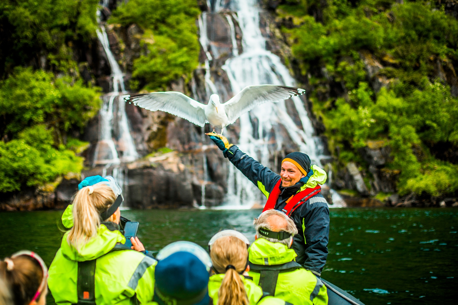guide-bird-expert-sea-bird-fjord-audience-waterfall