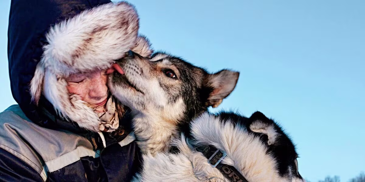 Gros plan sur un chien