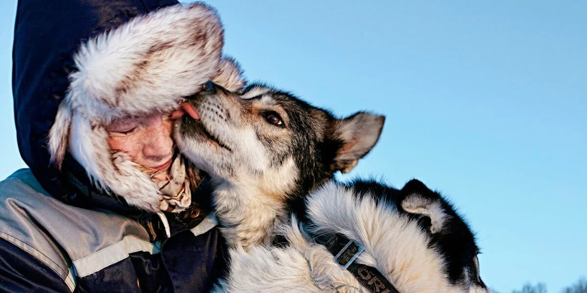 Gros plan sur un chien