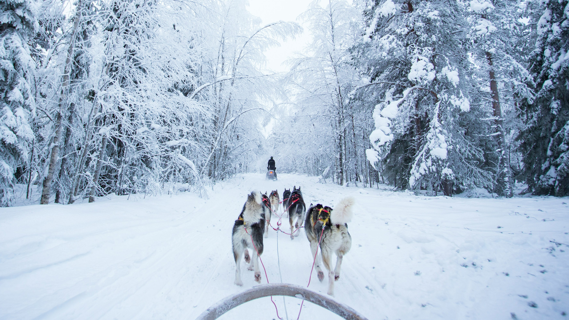 rovaniemi-finland-winter-robert-tjalondo