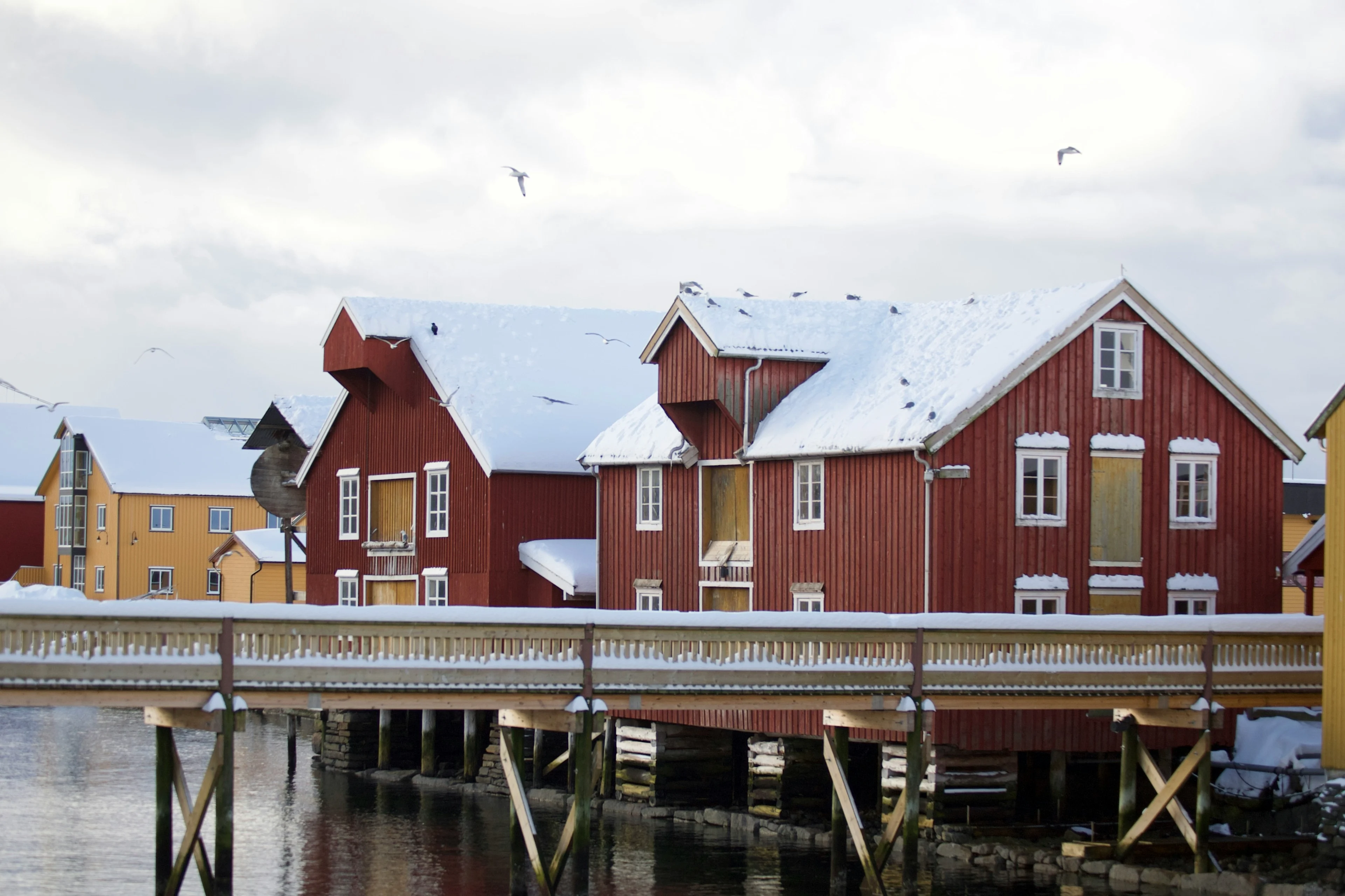 Rorvik kristin-o-karlsen-ztylQLVjAAQ-unsplash