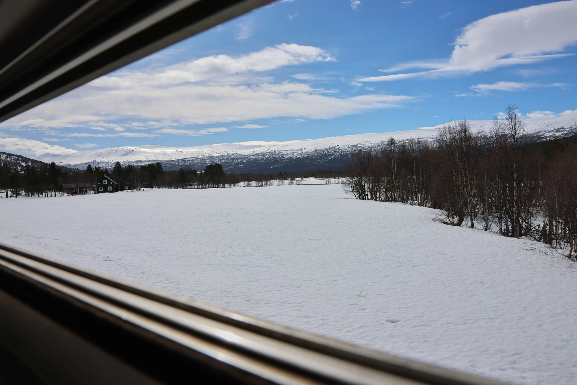 snow-view-field-trees-mountains-from-train-window