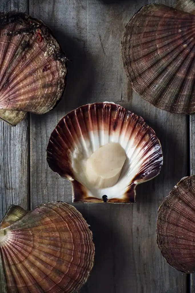 Fjord-to-Table Welcome