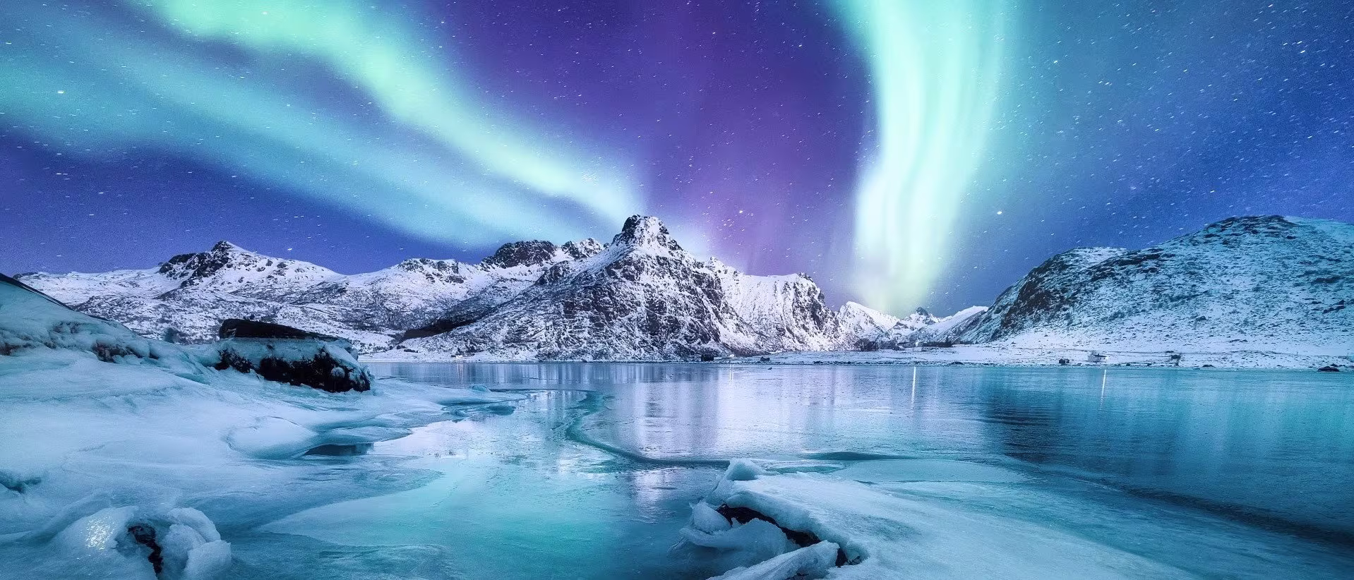 Light blue and green northern lights illuminating the snowy landscape in Lofoten, Norway on a clear winter night