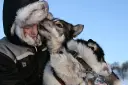 norway-dog-sledding-23819-stein-lillebo