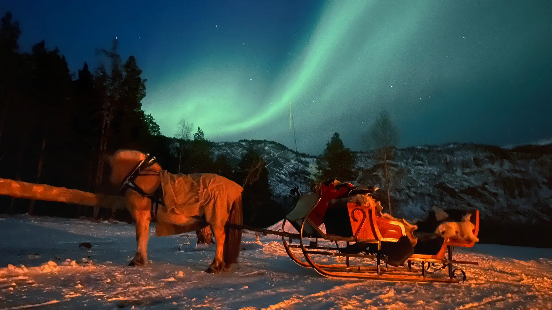 A horse drawn sleigh under the Northern Lights in Norway