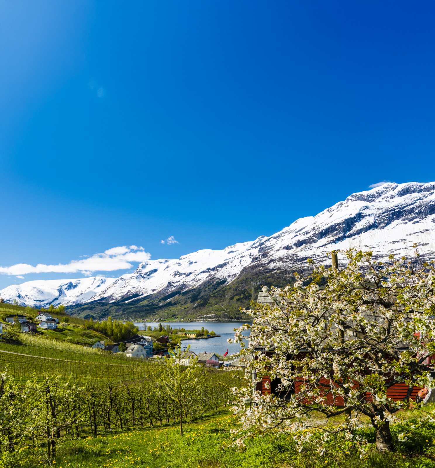 1136 Lofthus-hardanger-Robin-Strand-Norphoto-AS(1)