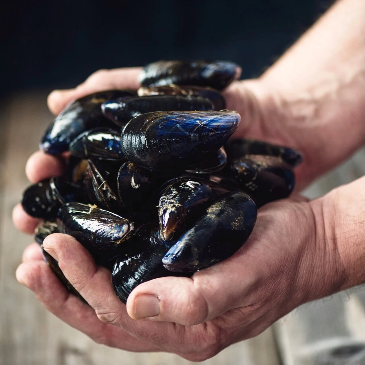 Norway s Coastal Kitchen mussels HGR 118328 1920 Photo Agurtxane Concellon