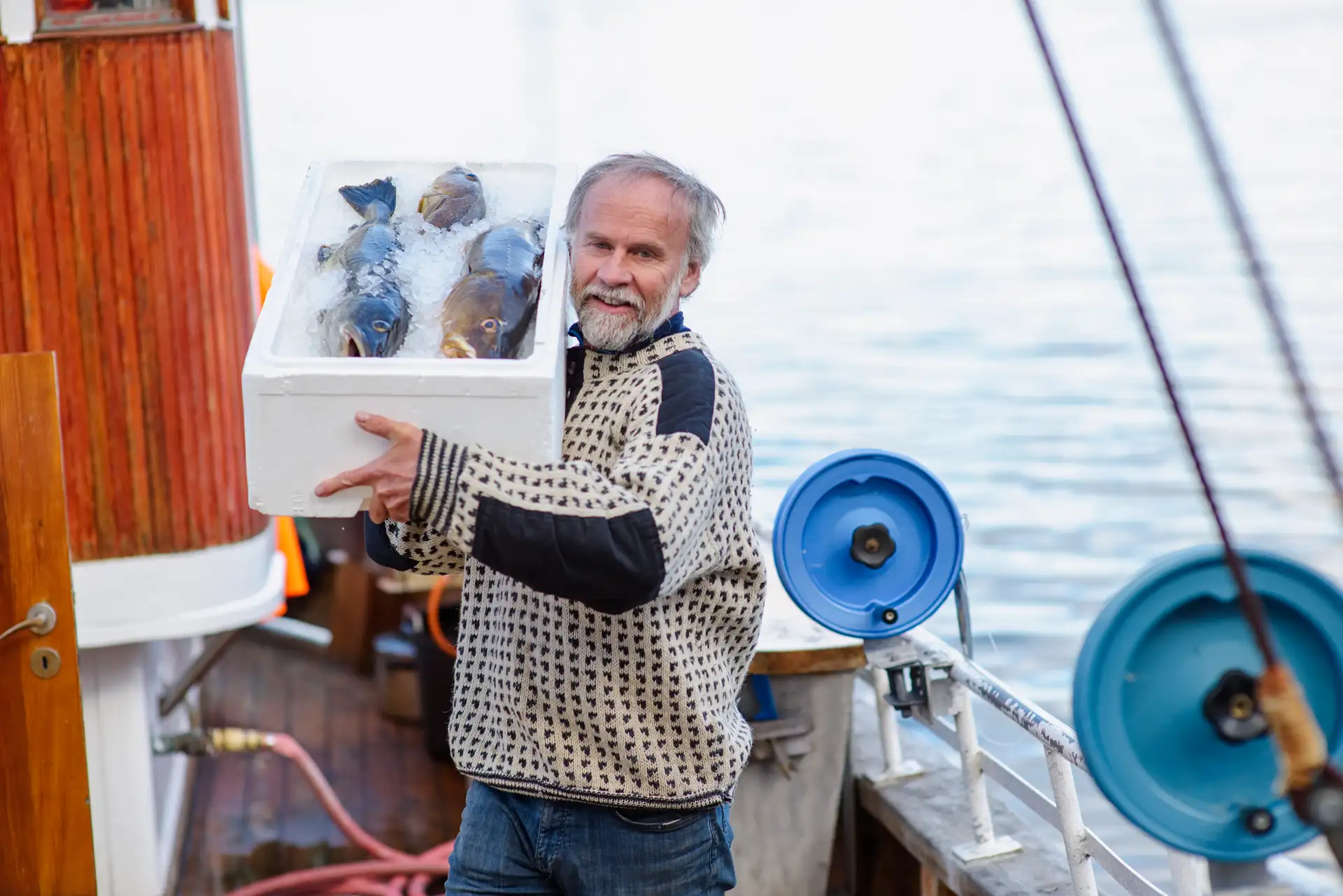 A fisherman carrying fresh Norwegian Arctic cod on a boat