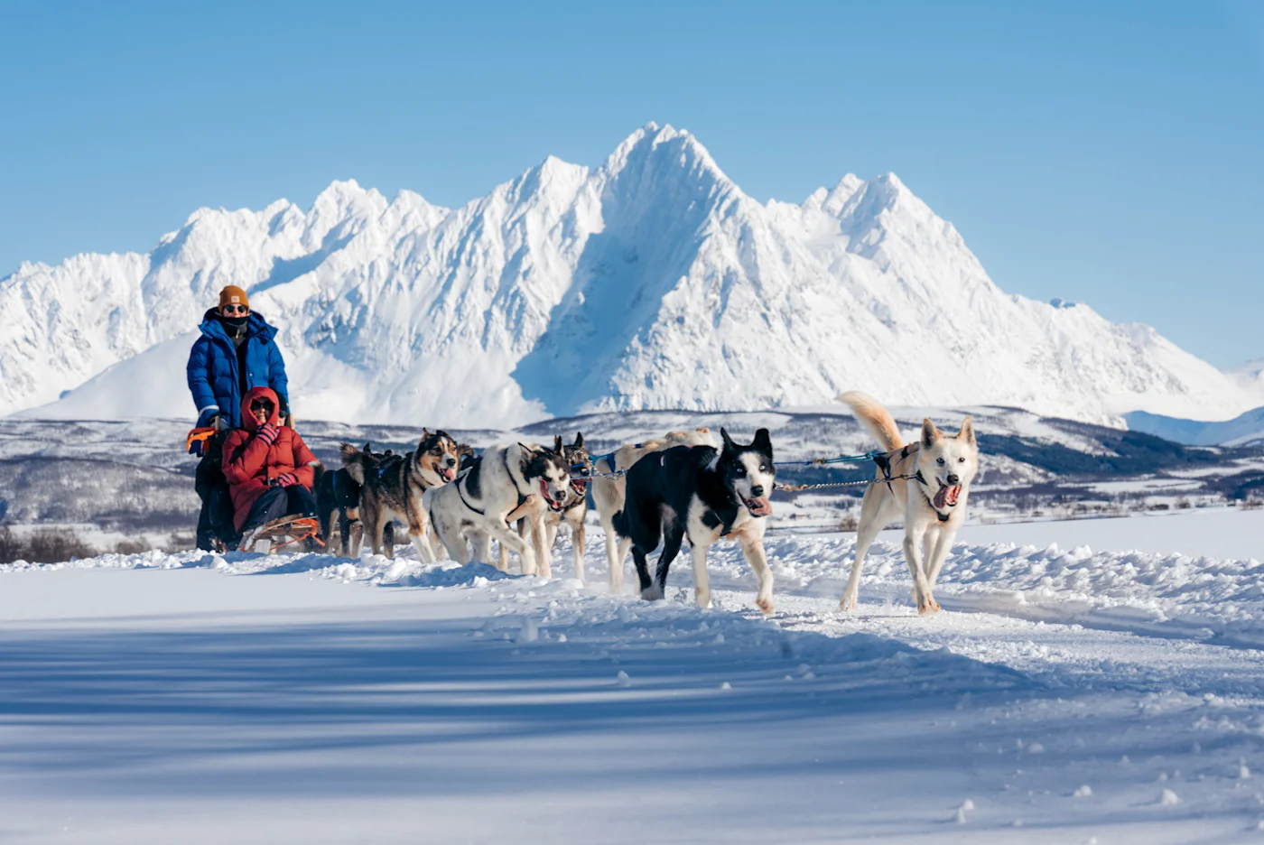 Dog Sledding (Tromsø)
