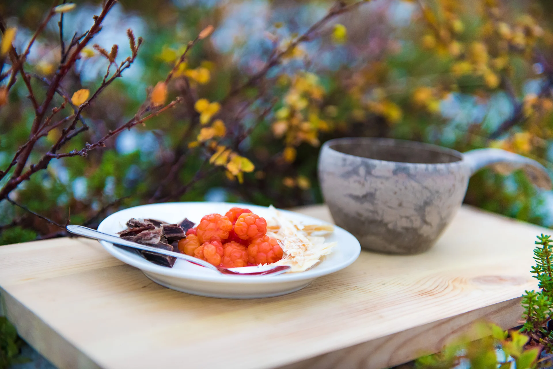 Dried reindeer, cloudberries and dried cod