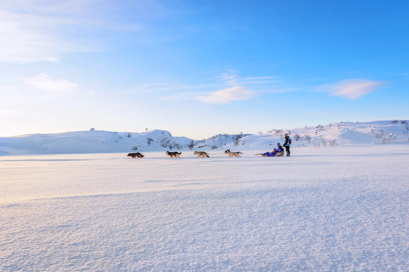 Husky Sledge Adventure