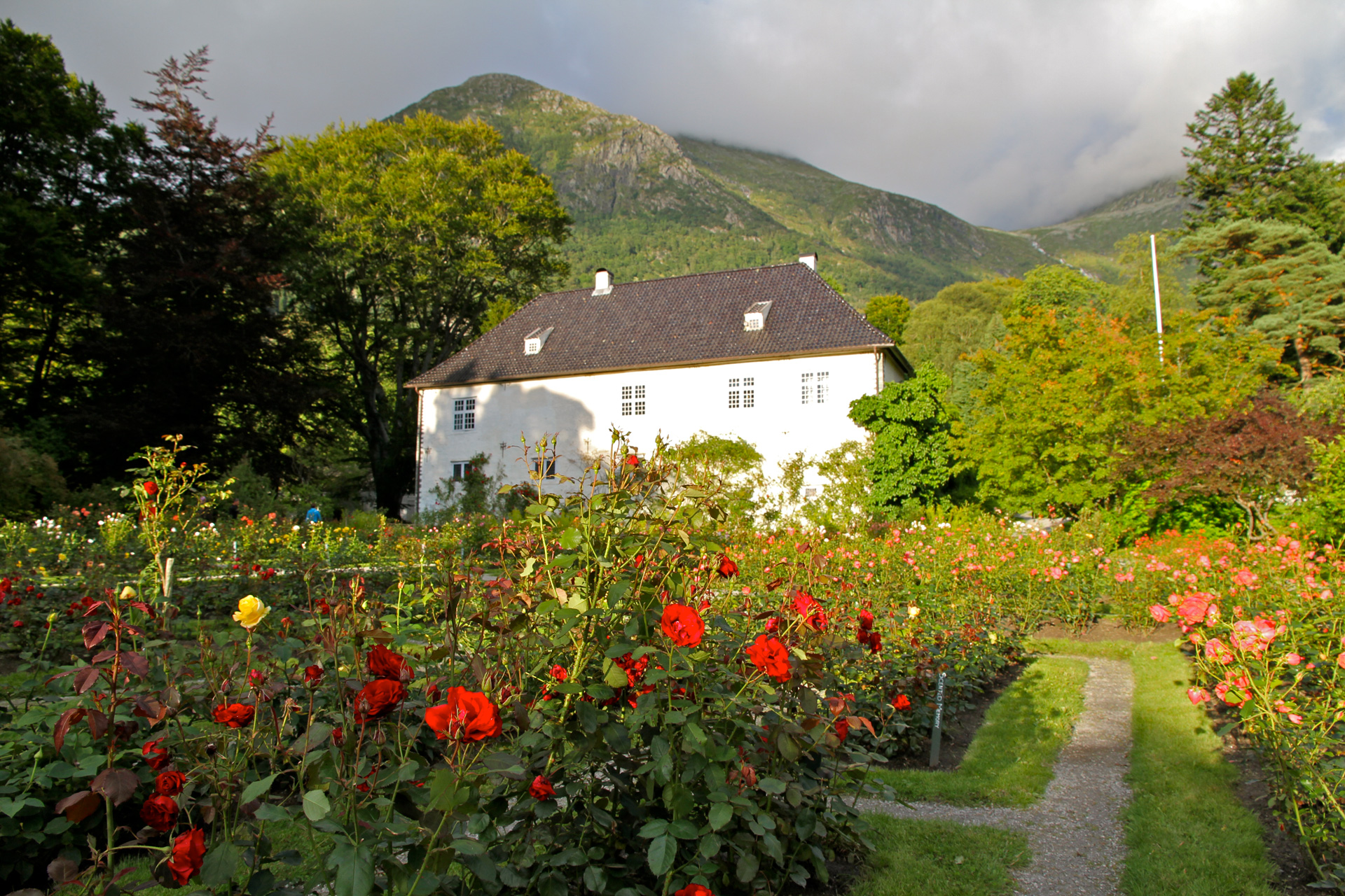 Rosendal