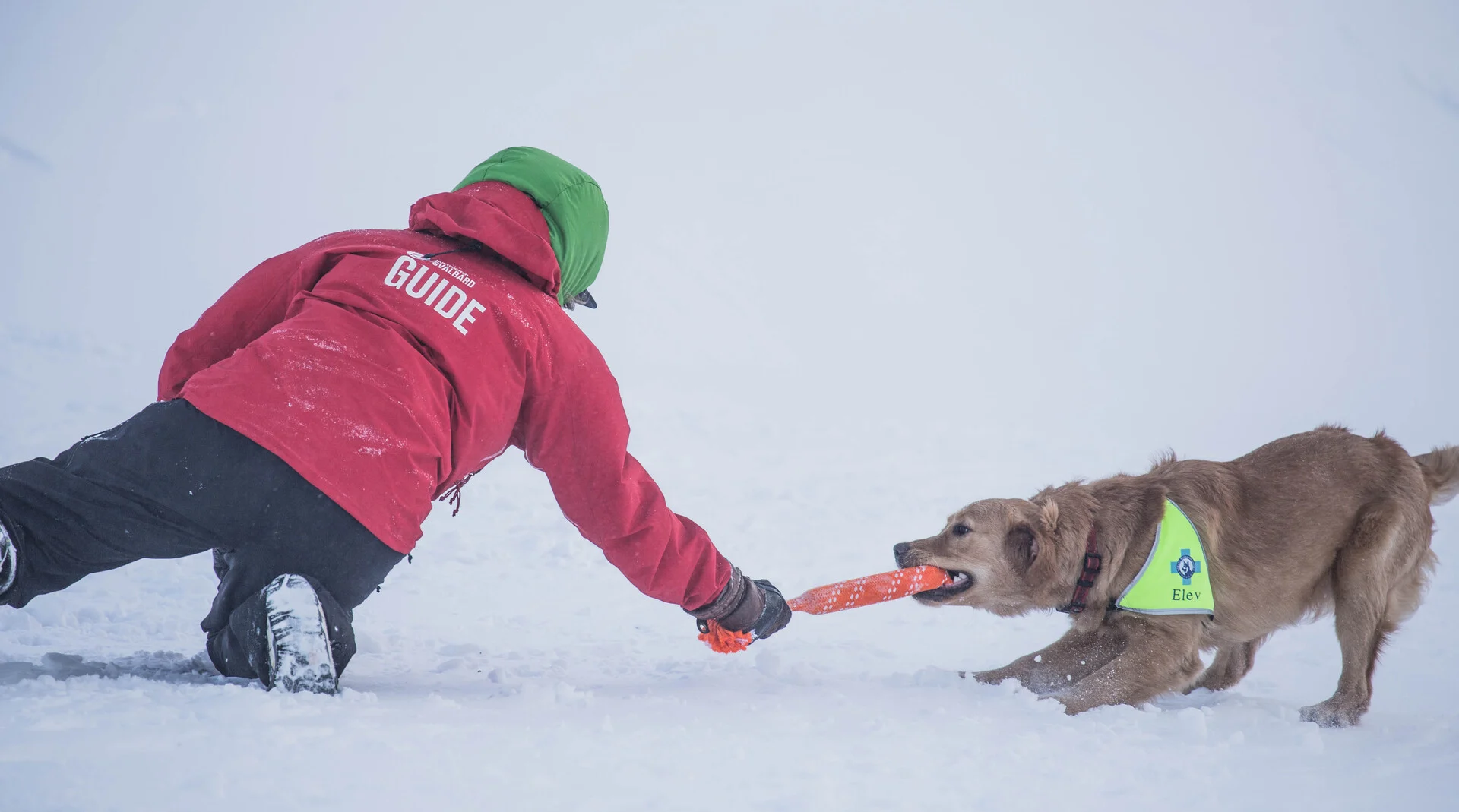 avalanche-training-135381-Michelle Brenden