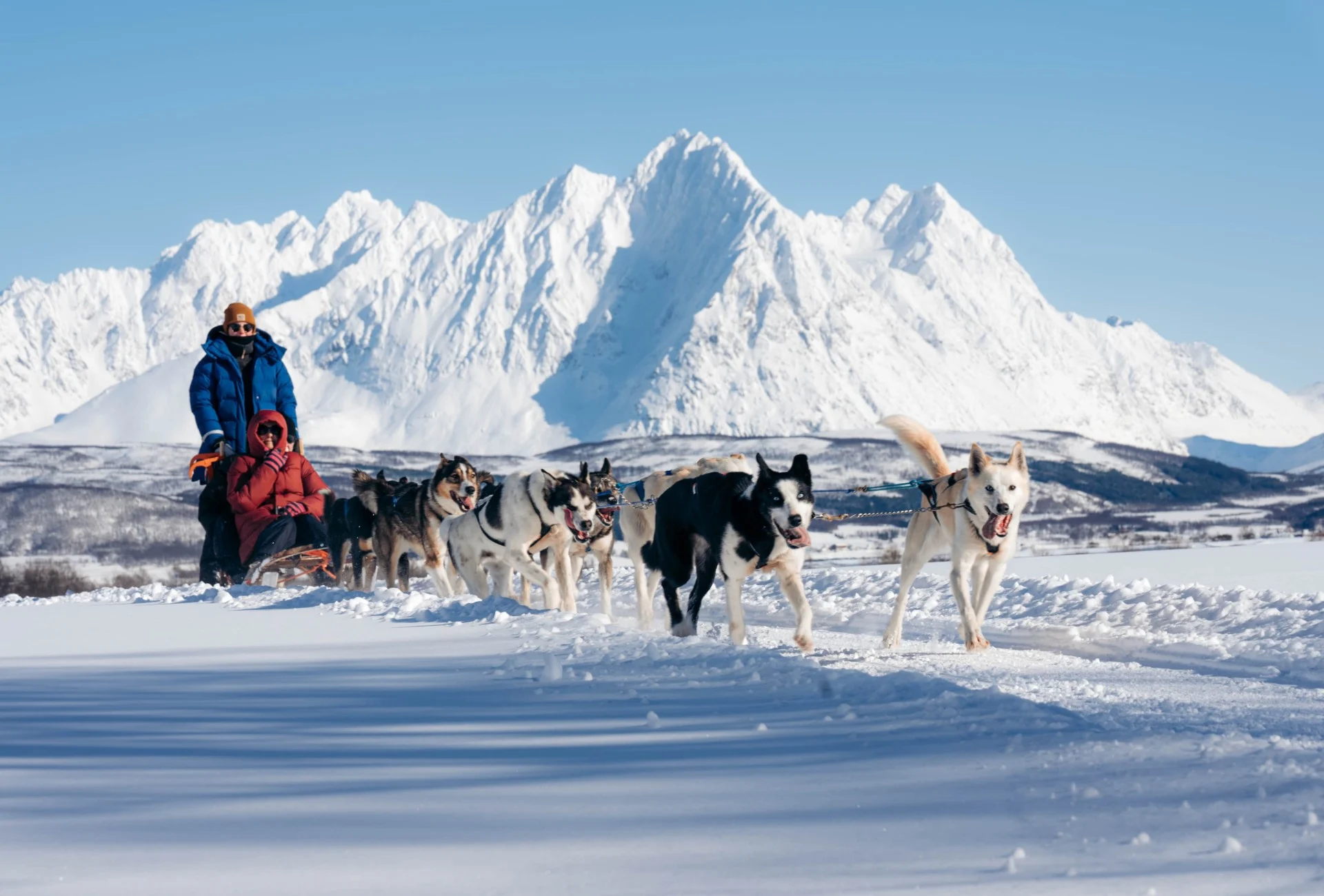 dog sledding tromso