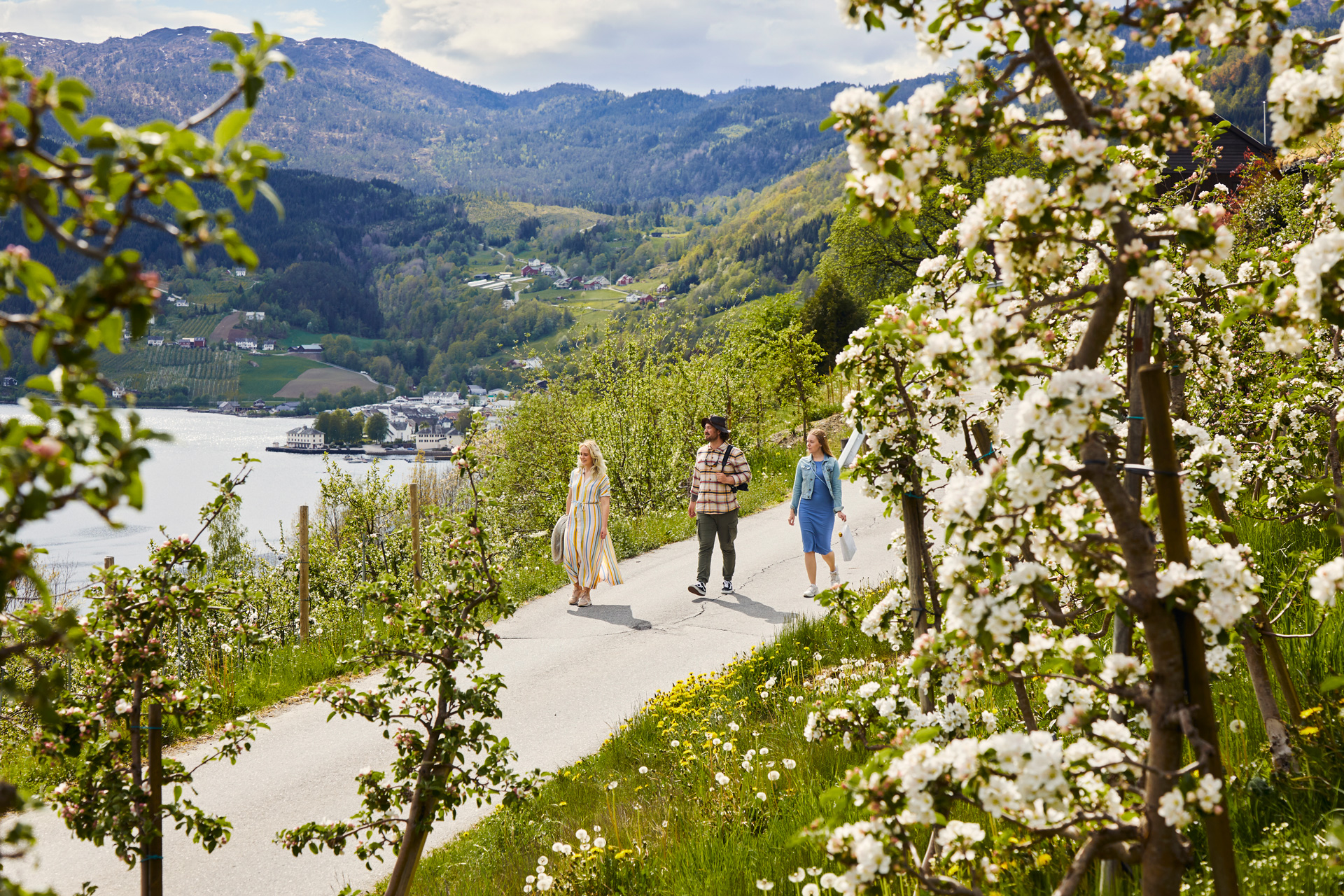 The Inner Fjords Explorer