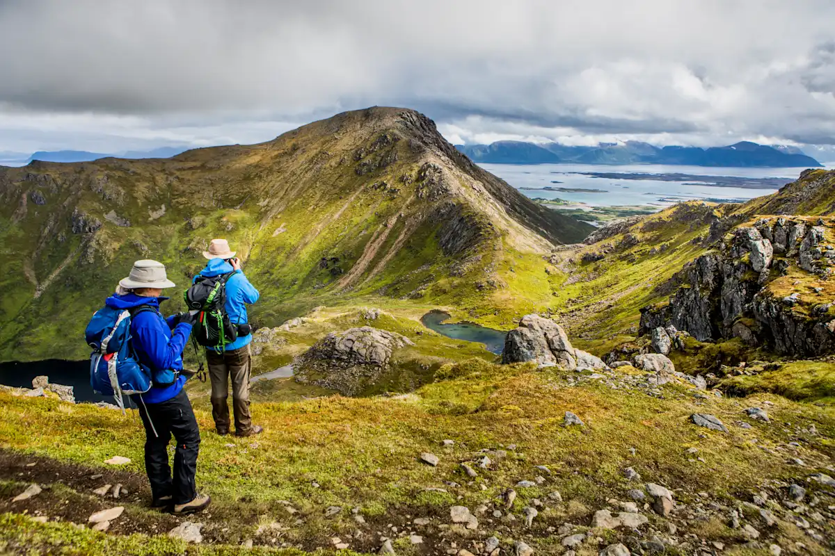 Vesterålen, Norway | Arctic Wildlife & Coastal Adventures | Hurtigruten