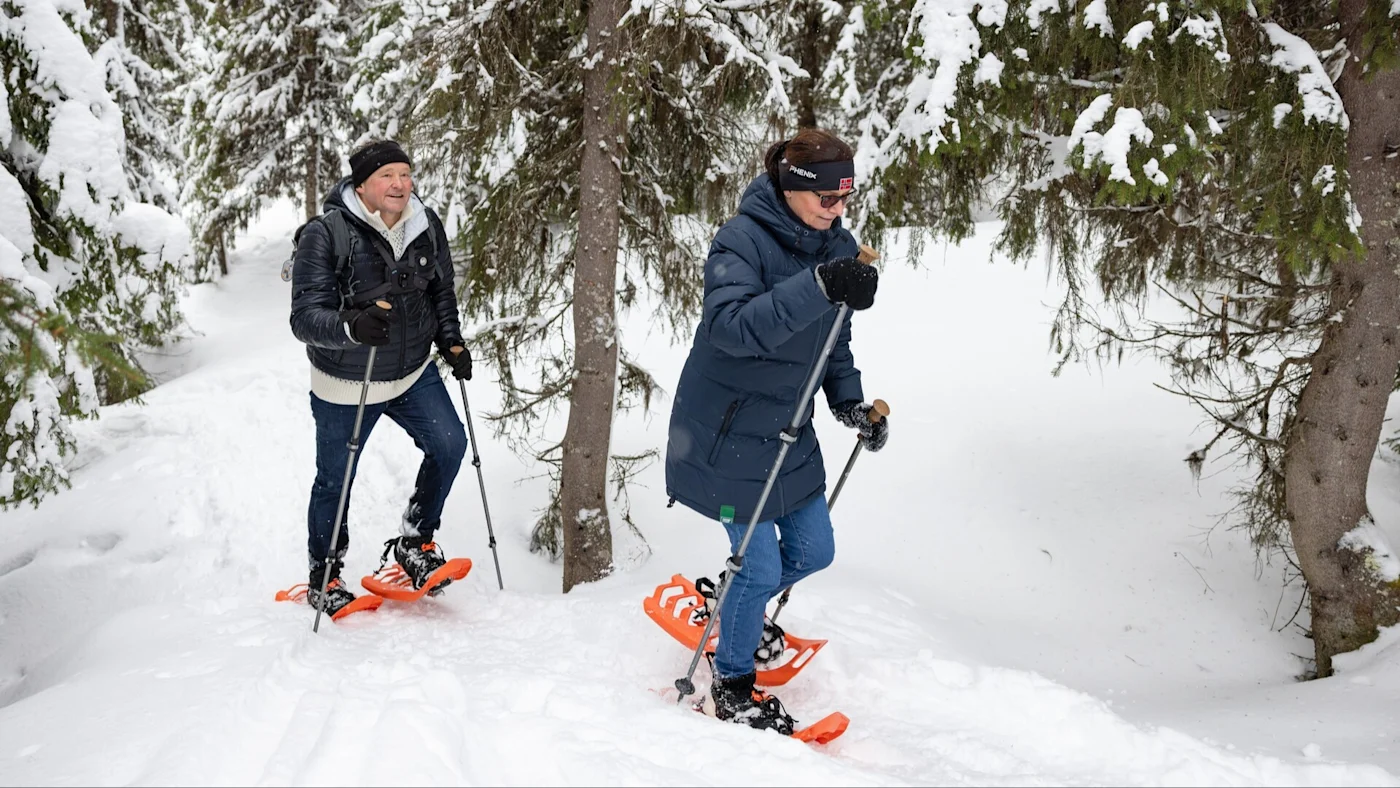 Snowshoeing in Tromsø