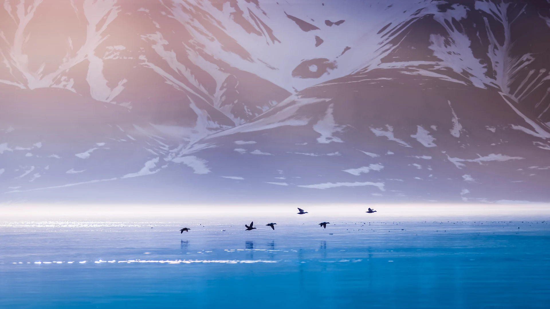 Les merveilles du Nord : Spitzberg et la Norvège arctique