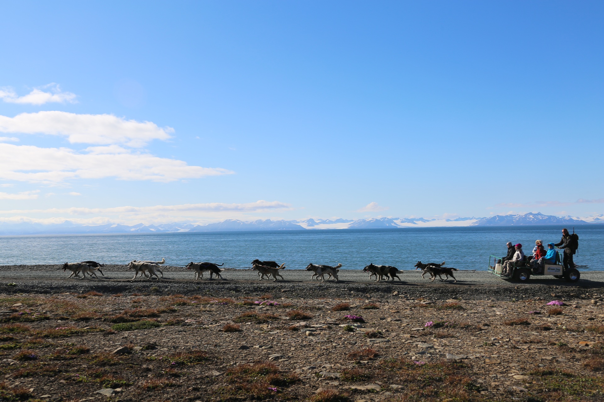 green-dog-huskies-pulling-wagon-people-daytime-blue-sky-mountains