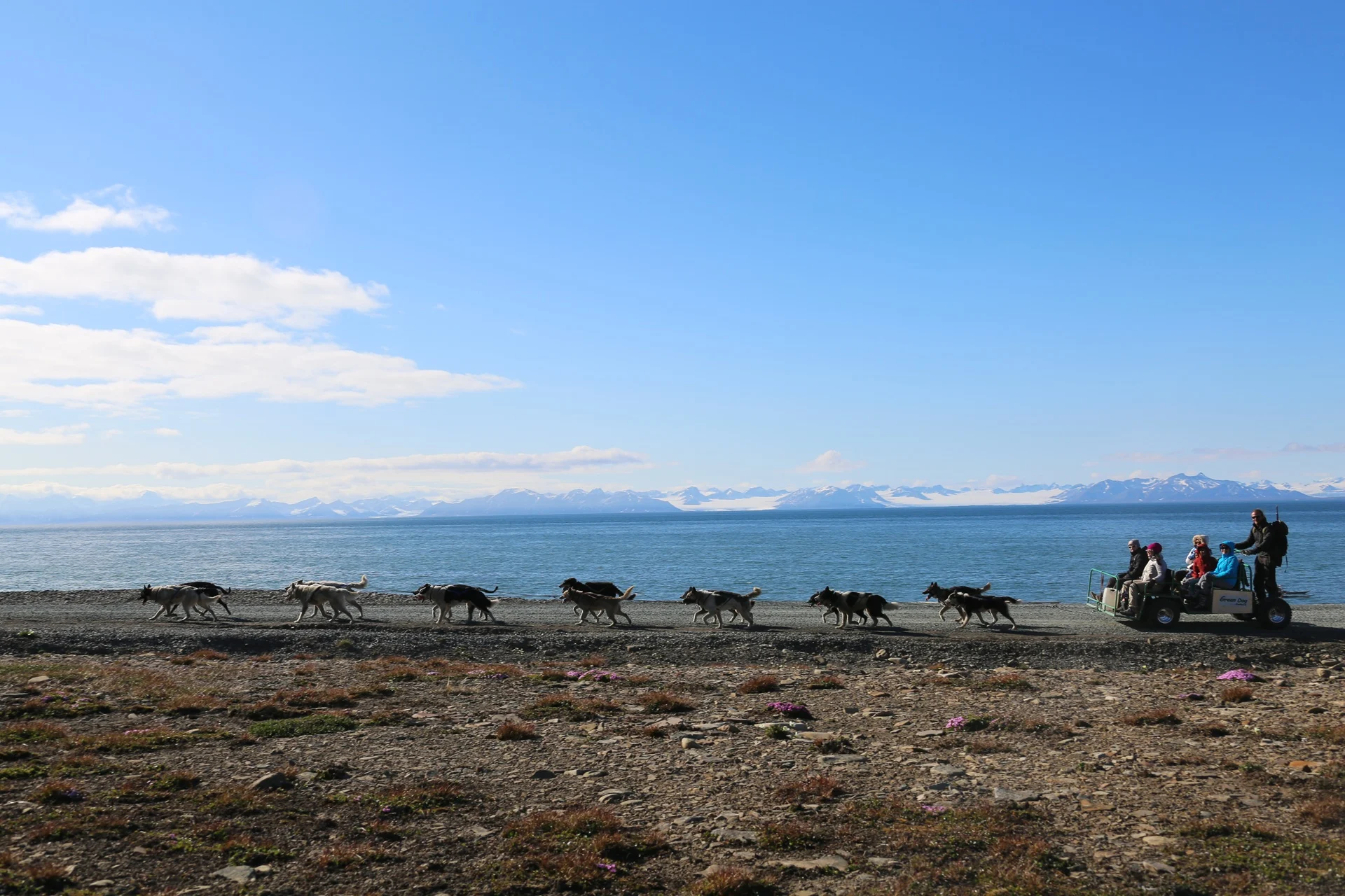 green-dog-huskies-pulling-wagon-people-daytime-blue-sky-mountains
