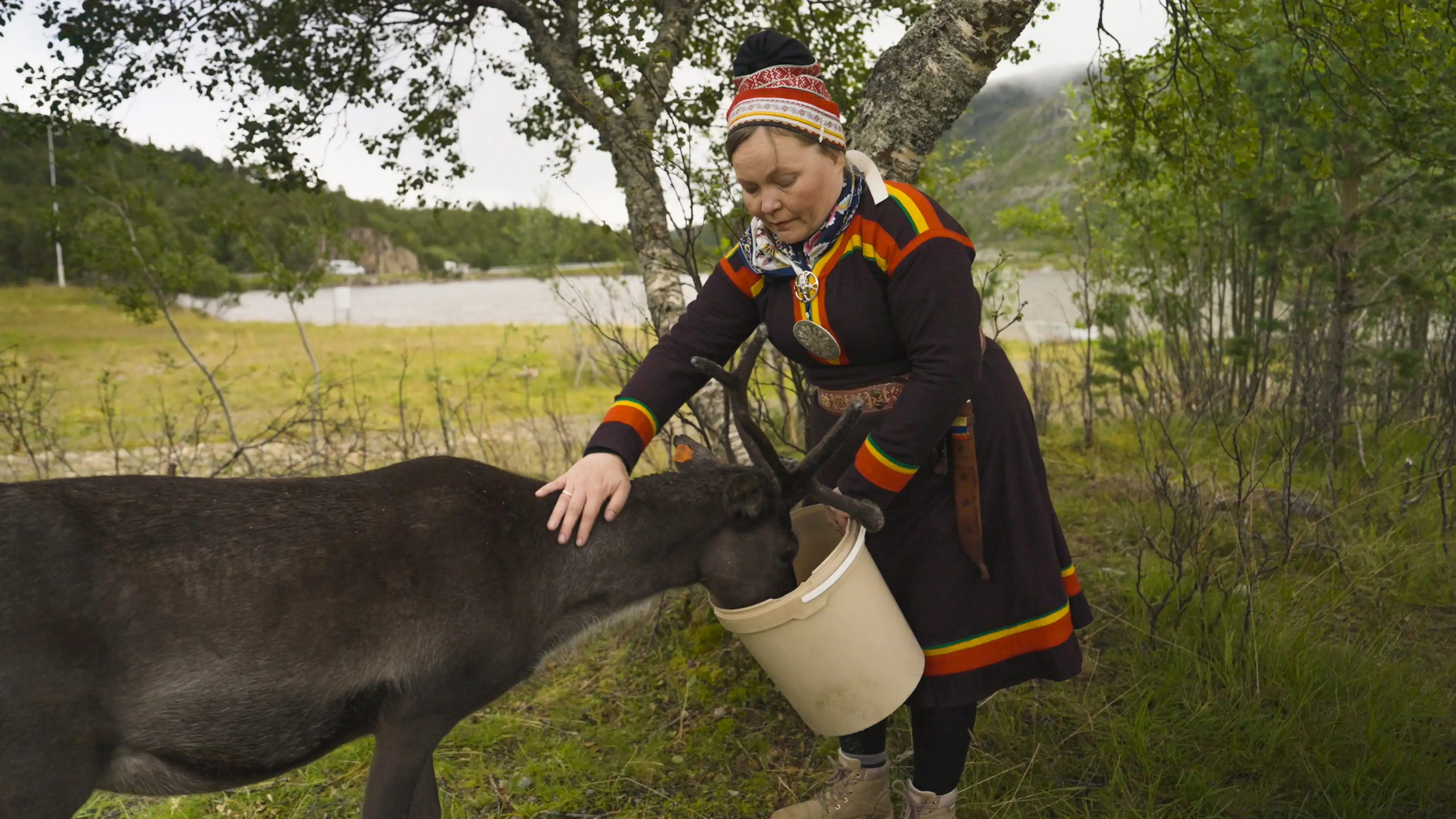 reindeer-sami-maret Christian Kay, Steffen Silseth-14