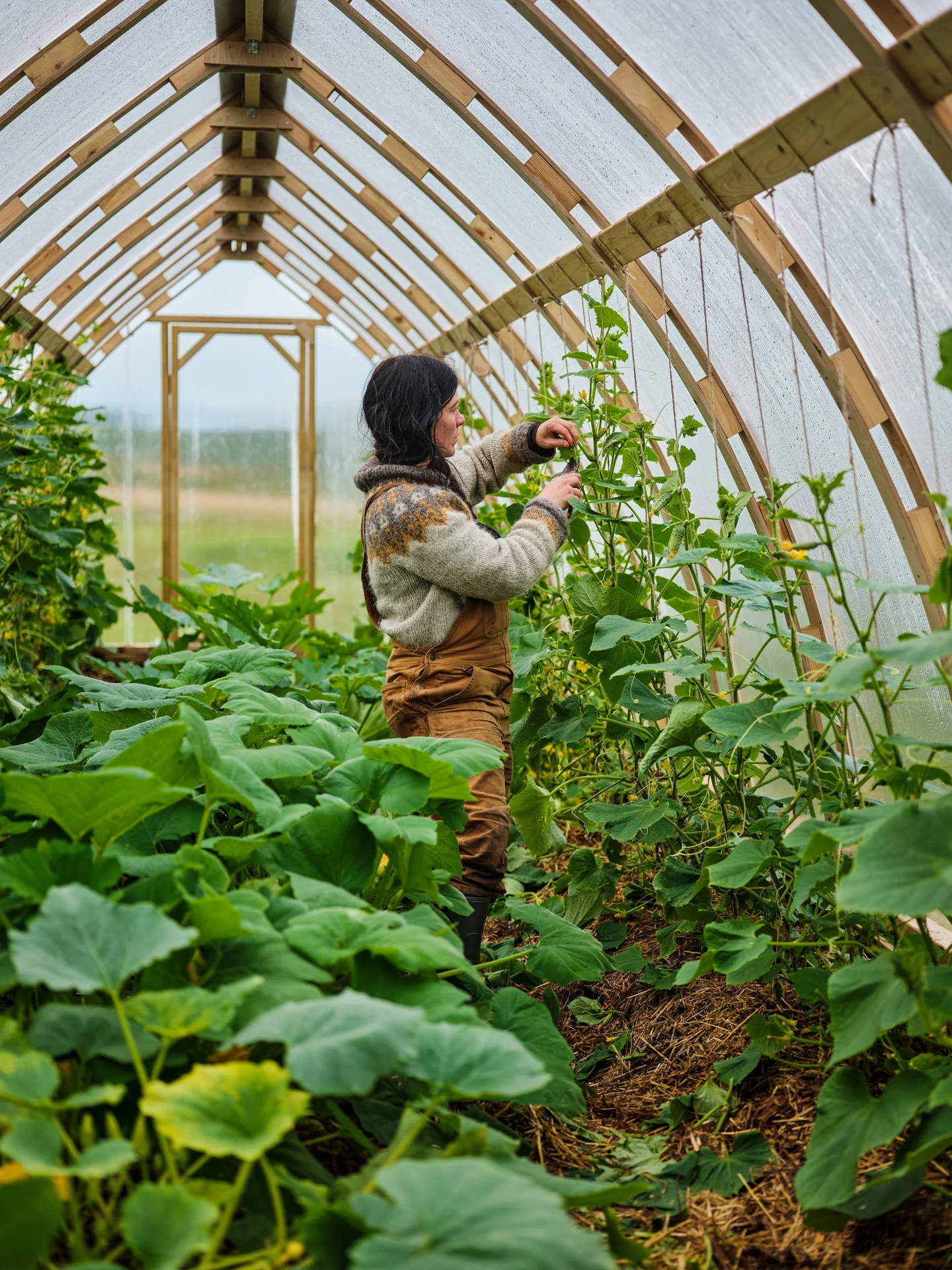 Enjoy a guided tour of Kvitnes Gård on Day 5, before enjoying a set menu of outstanding gourmet Nordic fare