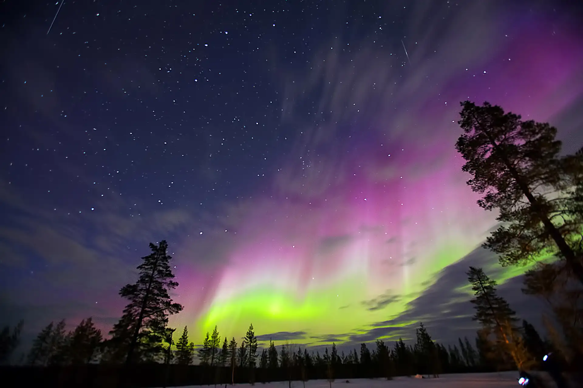Savour the Northern Lights on The North Cape Line - North