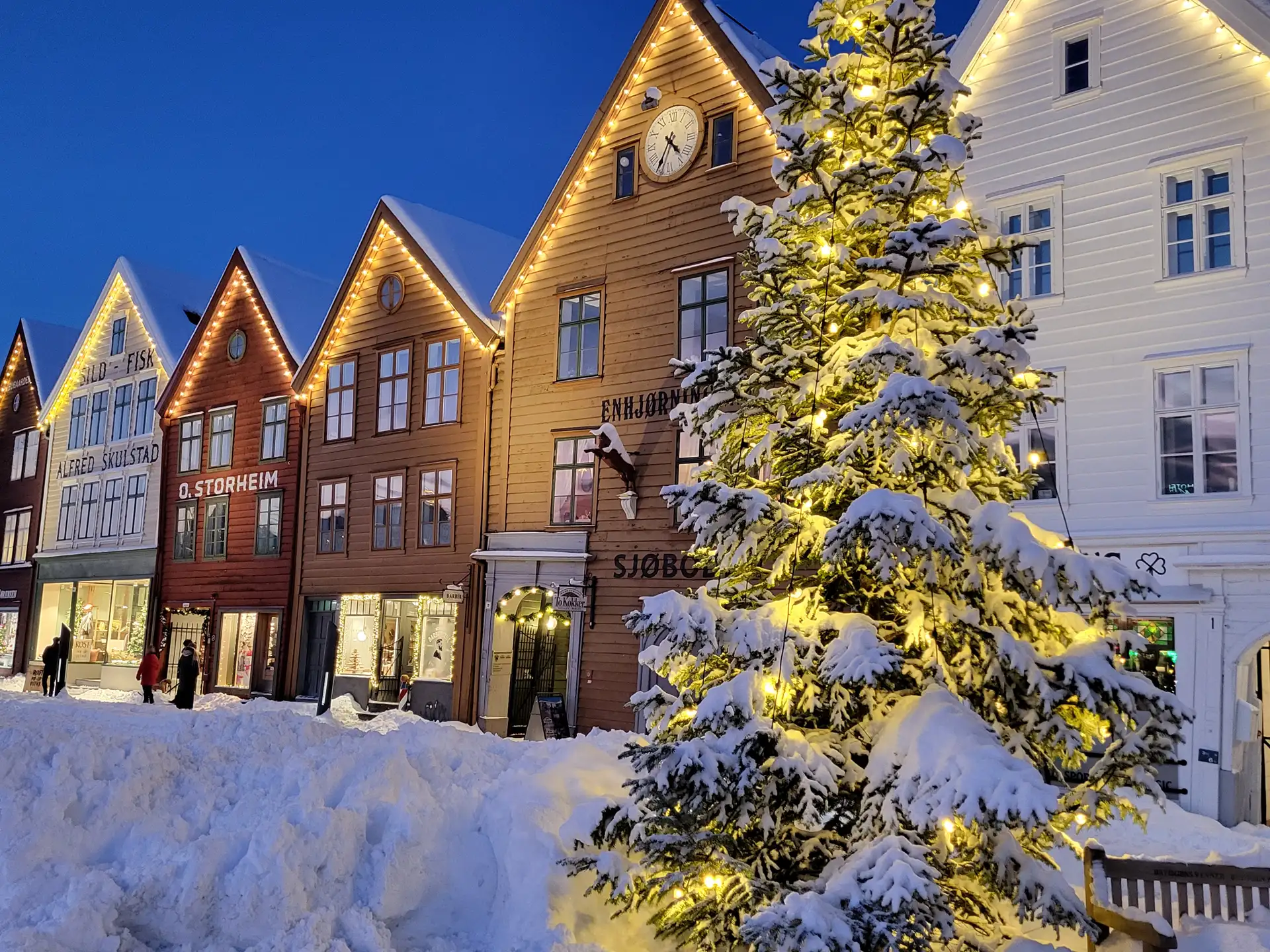 brggen-bergen-snowy-winter-evening-lit-tree-buildings