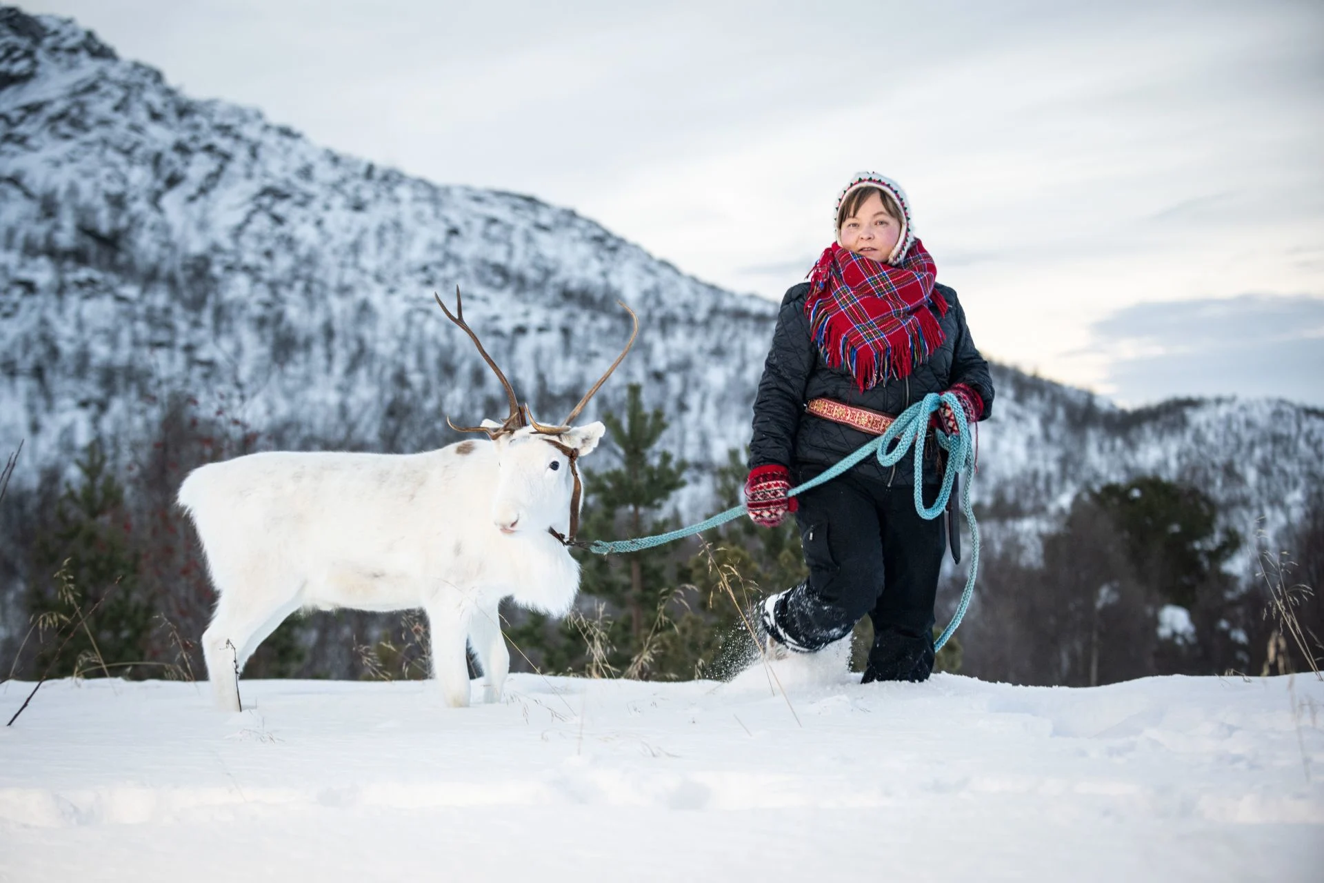 A Sami woman holding a white reindeer in Norway
