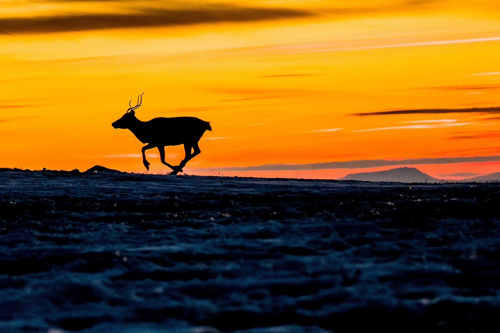 The Arctic Circle Explorer