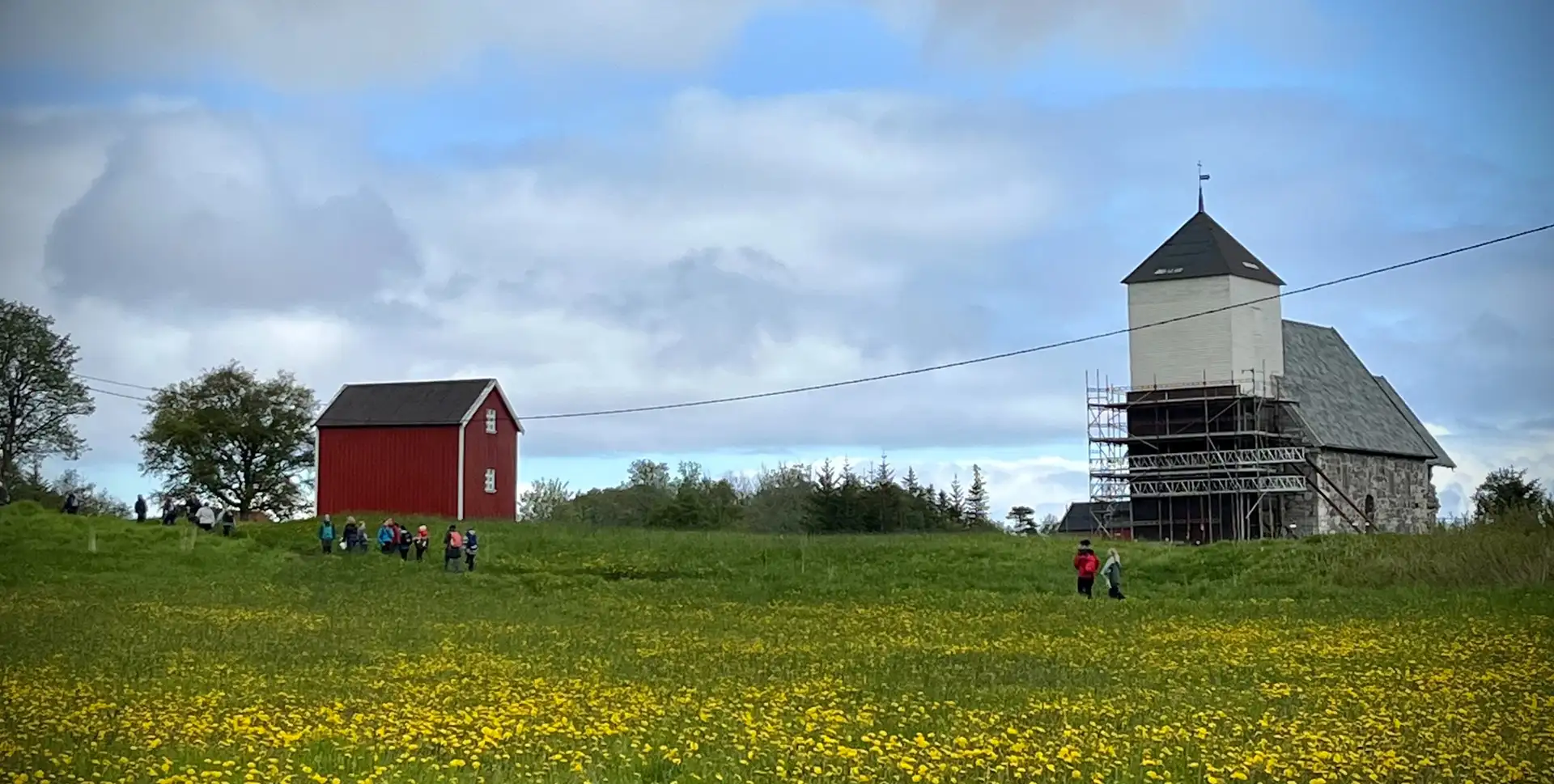 field-people-walking-martinhuset-historic-farmhouse-nærøya-medieval-church-field-yellow-flowers