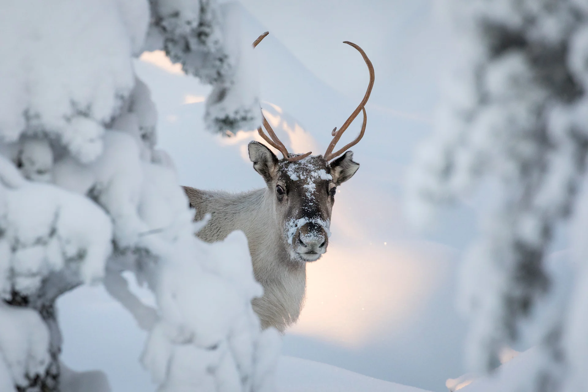 VisitFinland-MarkoJunttila-(29)