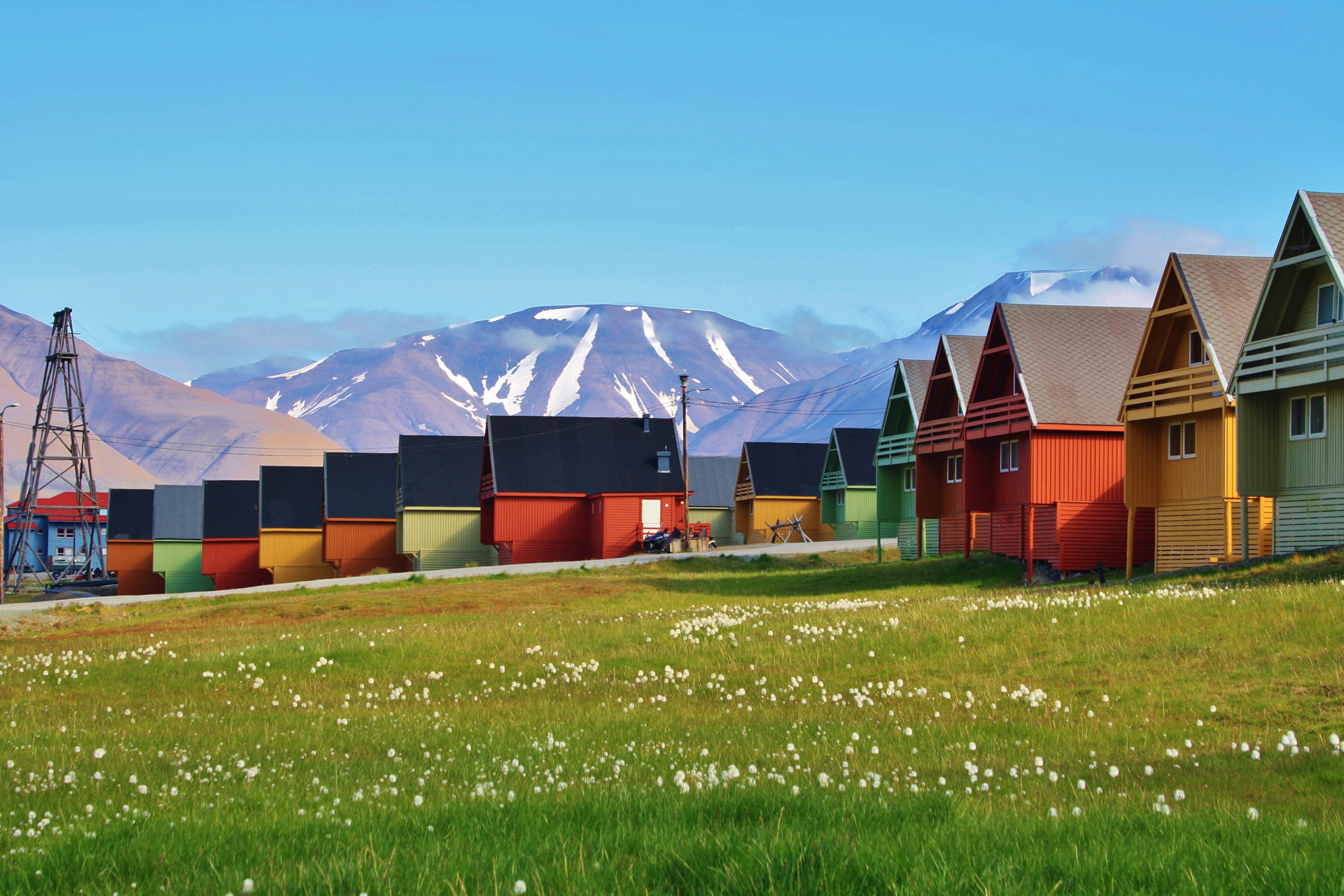 The Svalbard Line