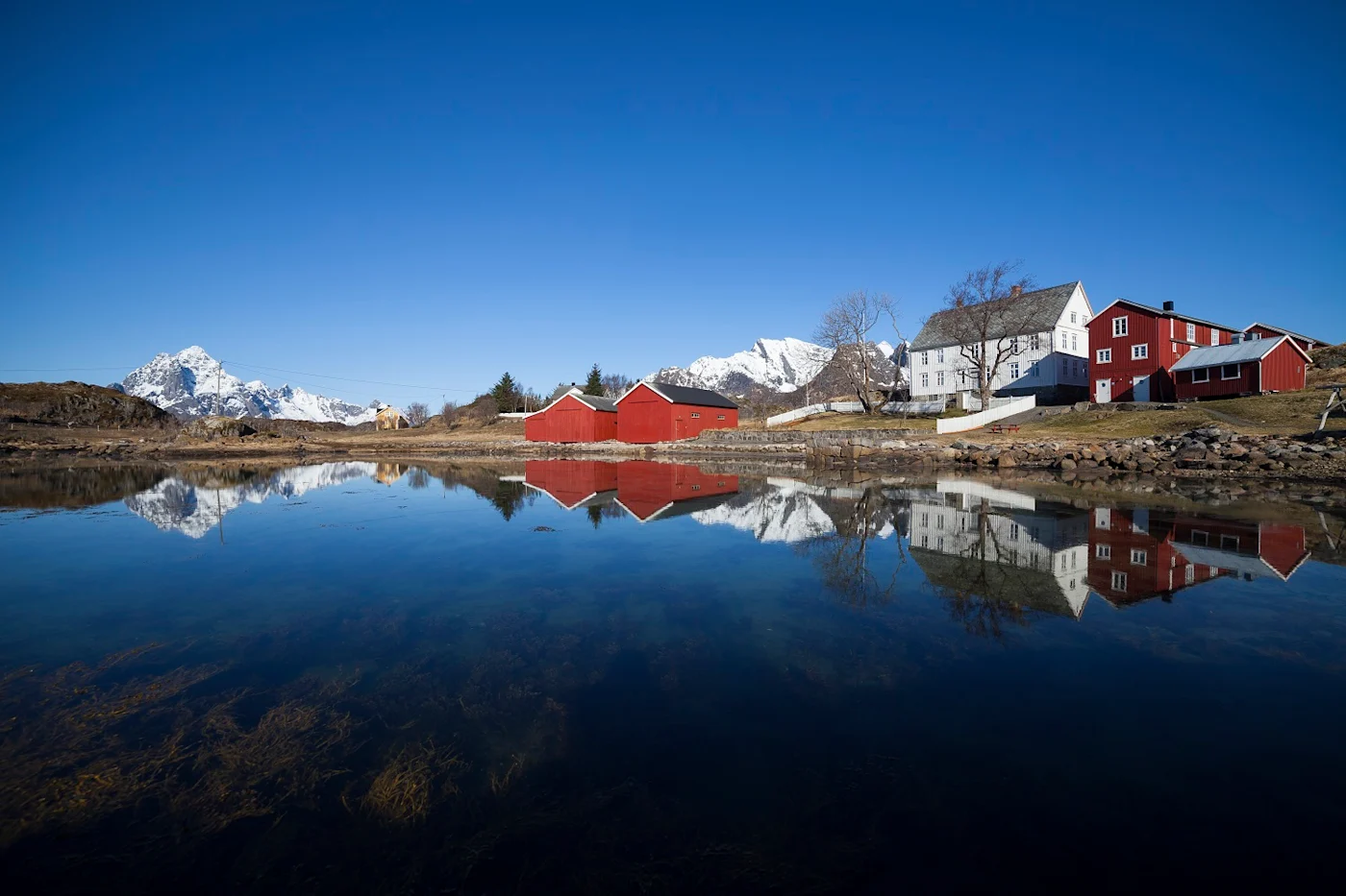 Highlights of Lofoten