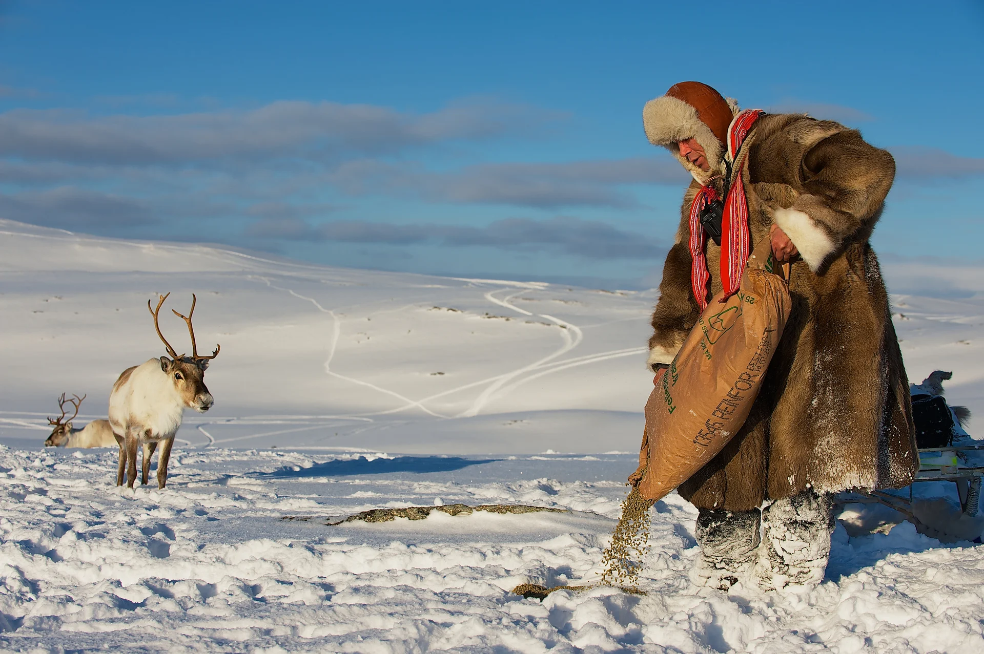 sami-tromso-145555-Shutterstock