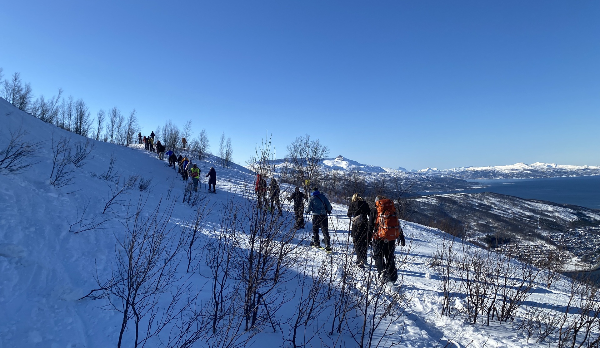 line-people-snowshoes-snow-hill-trees-blue-sky-town-below