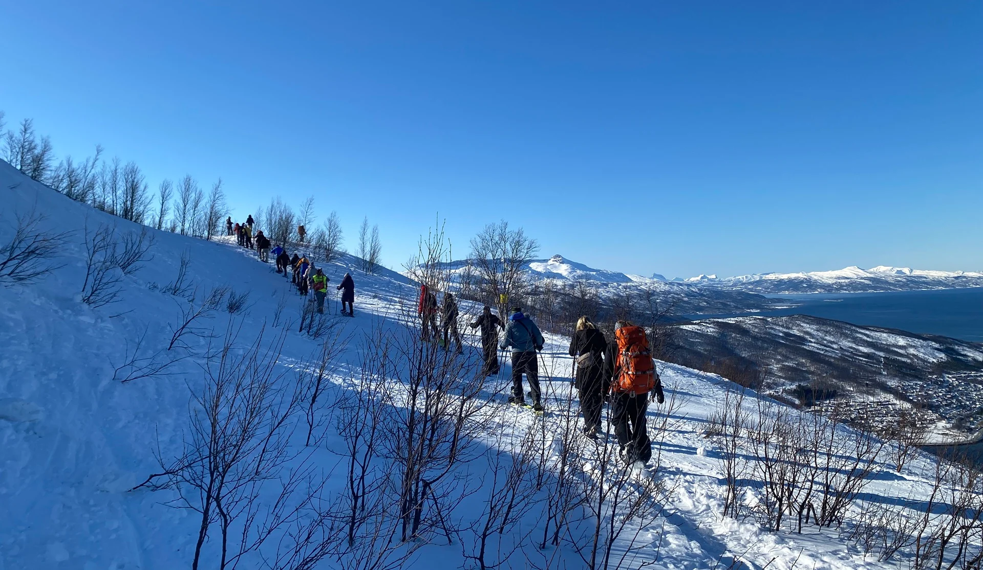 line-people-snowshoes-snow-hill-trees-blue-sky-town-below