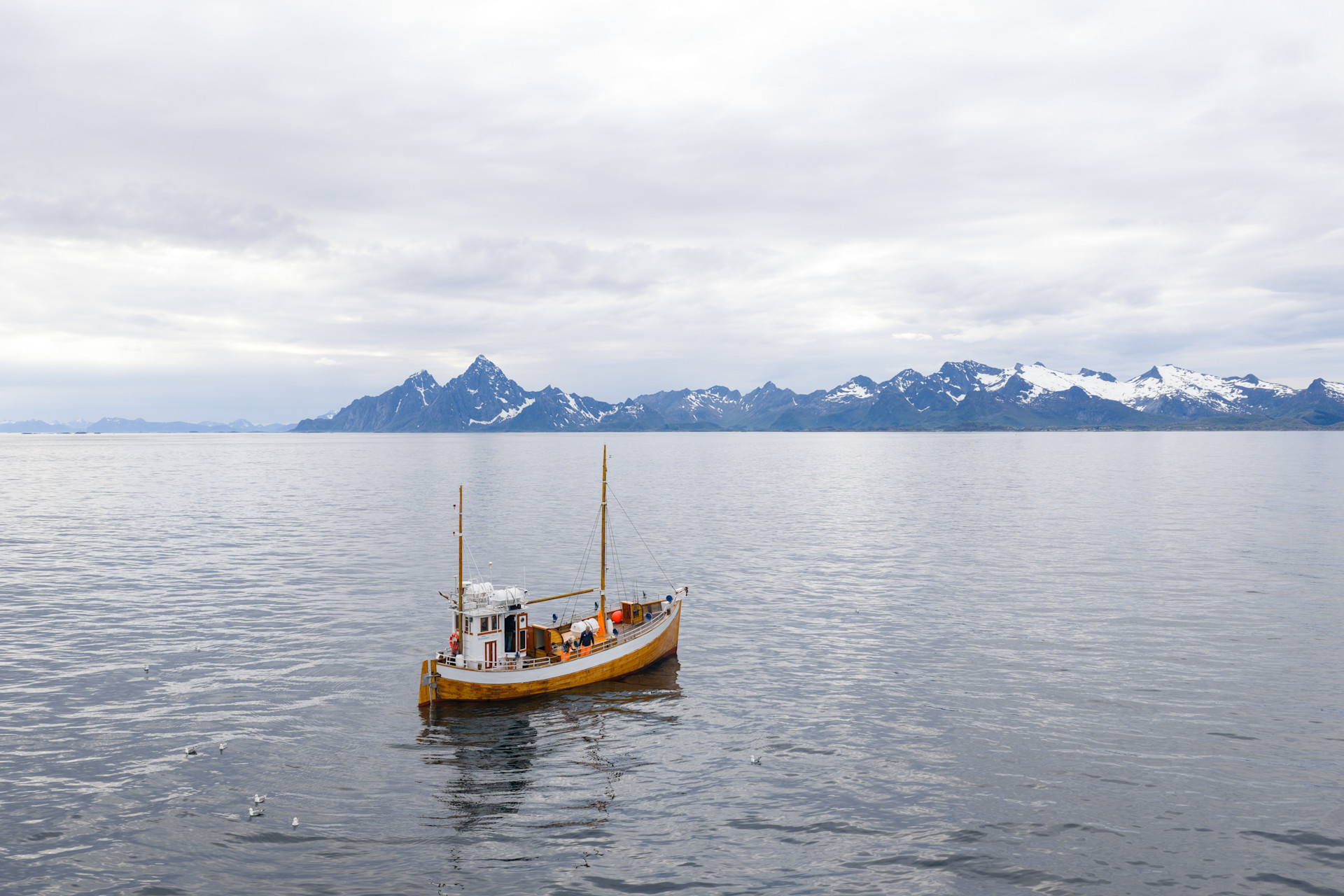 MS Symra fishing boat sailing in Svolvaer Norway