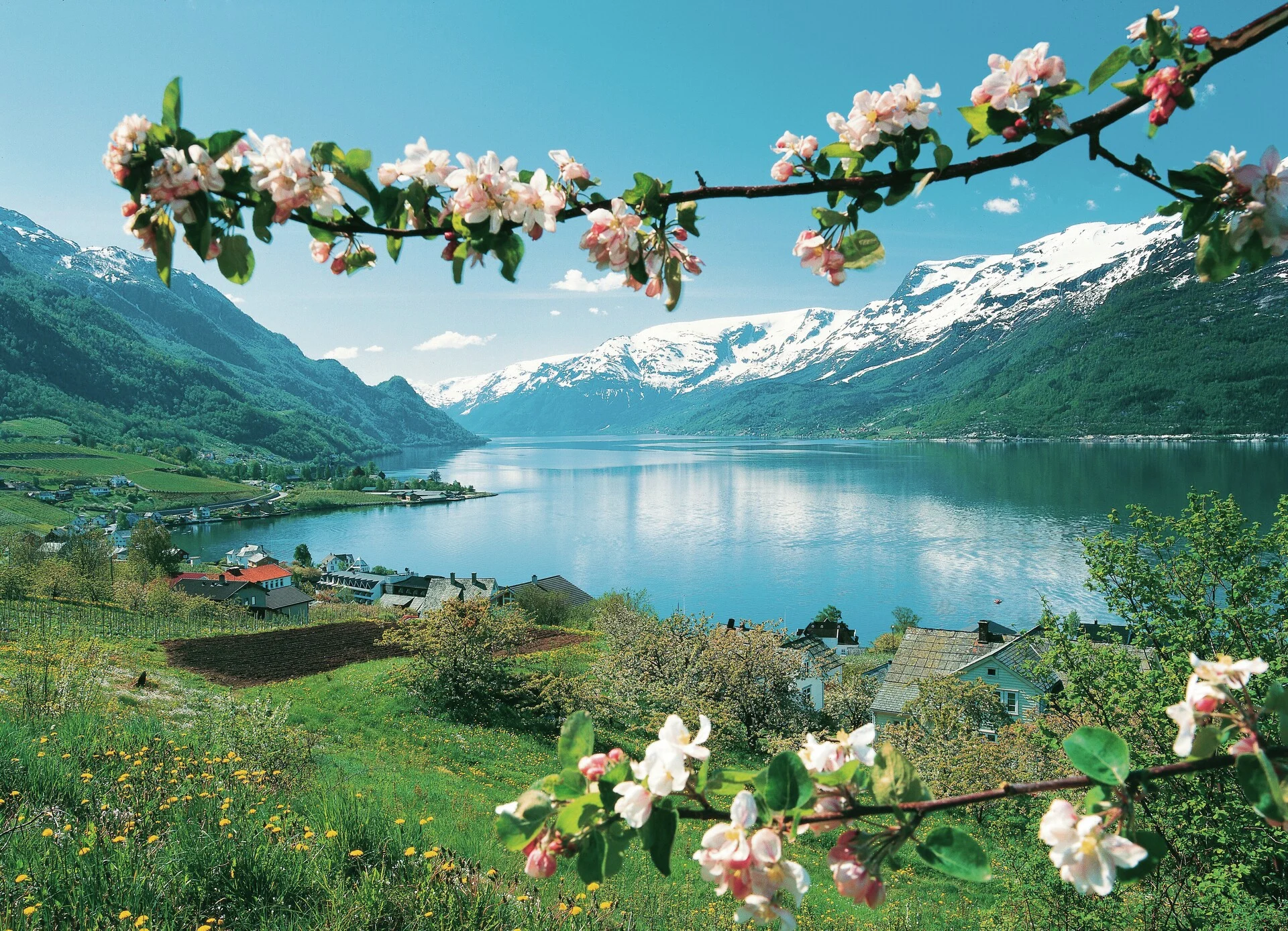 Какая красота весной. Хардангер-Фьорд. Фьорды Норвегии. Озеро Зееальп, Швейцария.