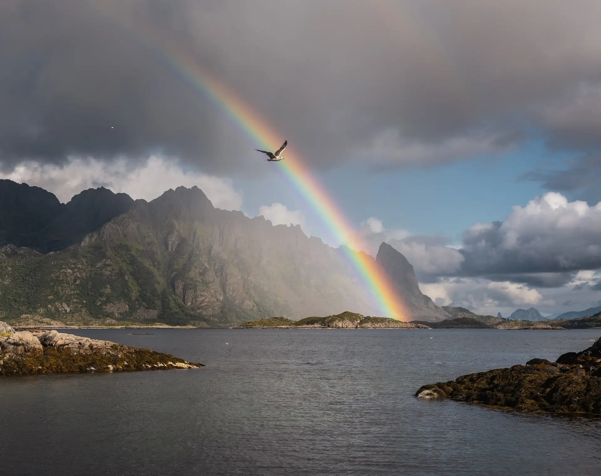 "Welcome to Paradise" by Severin Frank, taken aboard MS Richard With on August 22, 2025 Cameralla