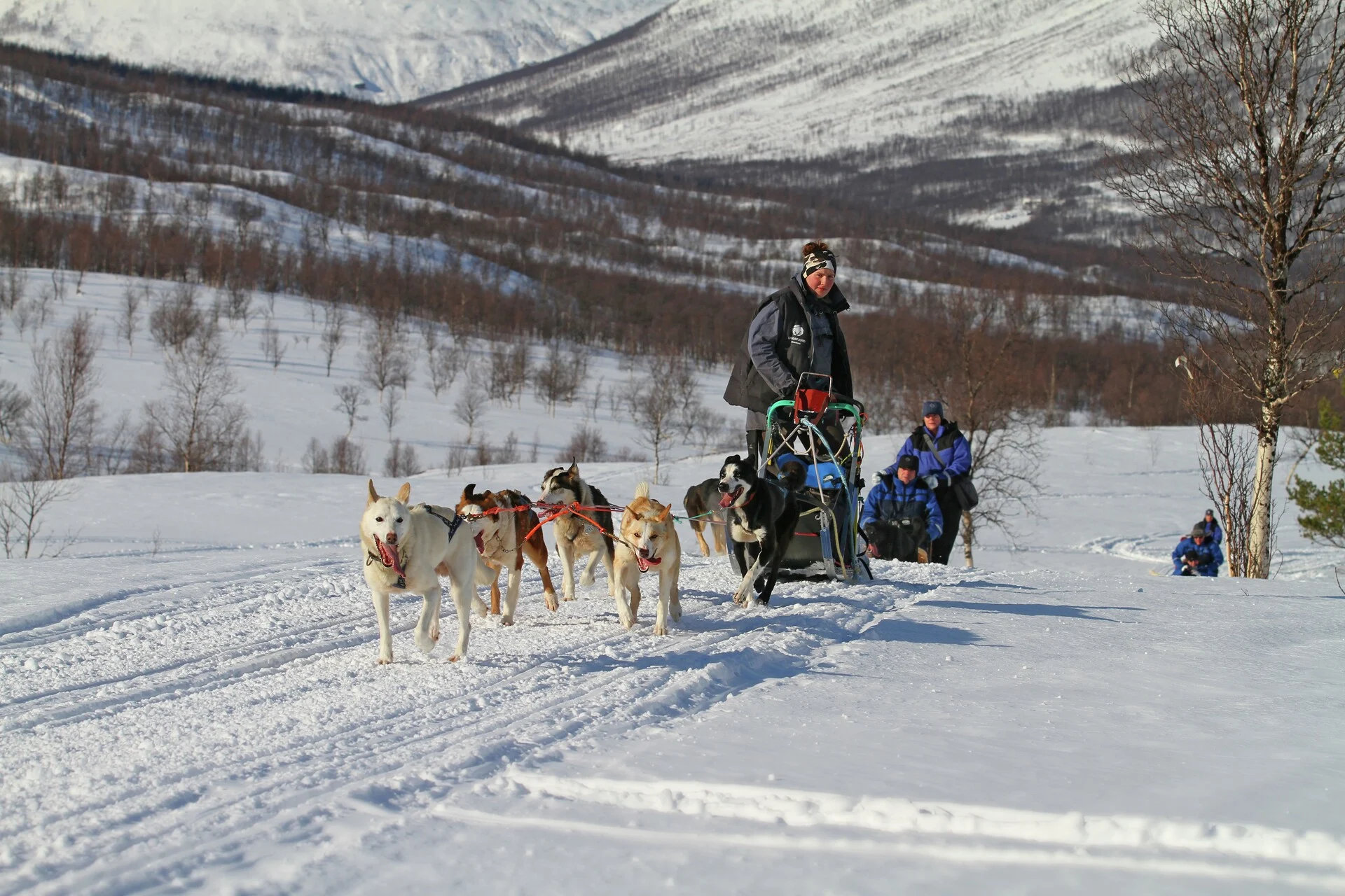Dog sledding Wilderness Adventure Camp Finnsnes Tromso Norway HGR 15830