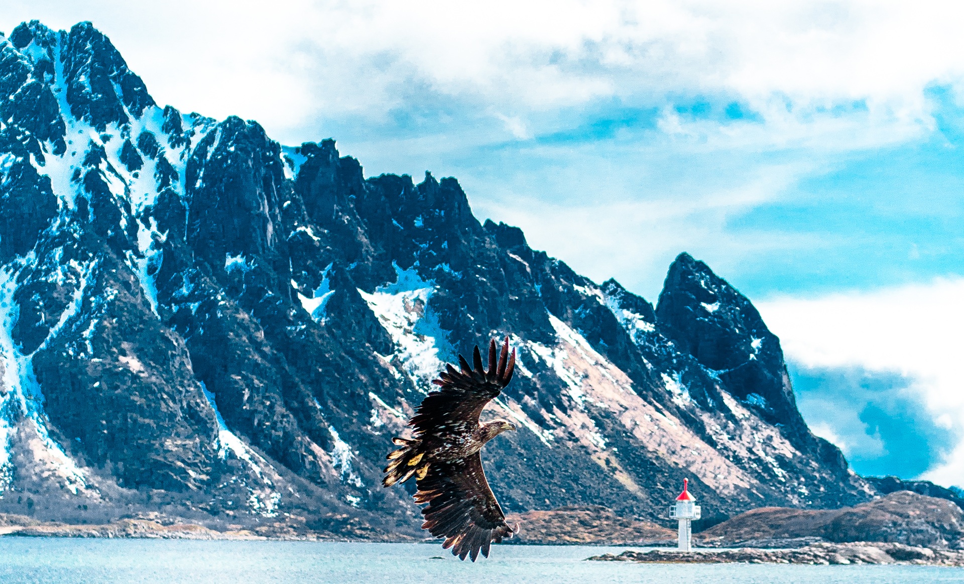 sea-eagle-flight-lighthouse-snow-fjord