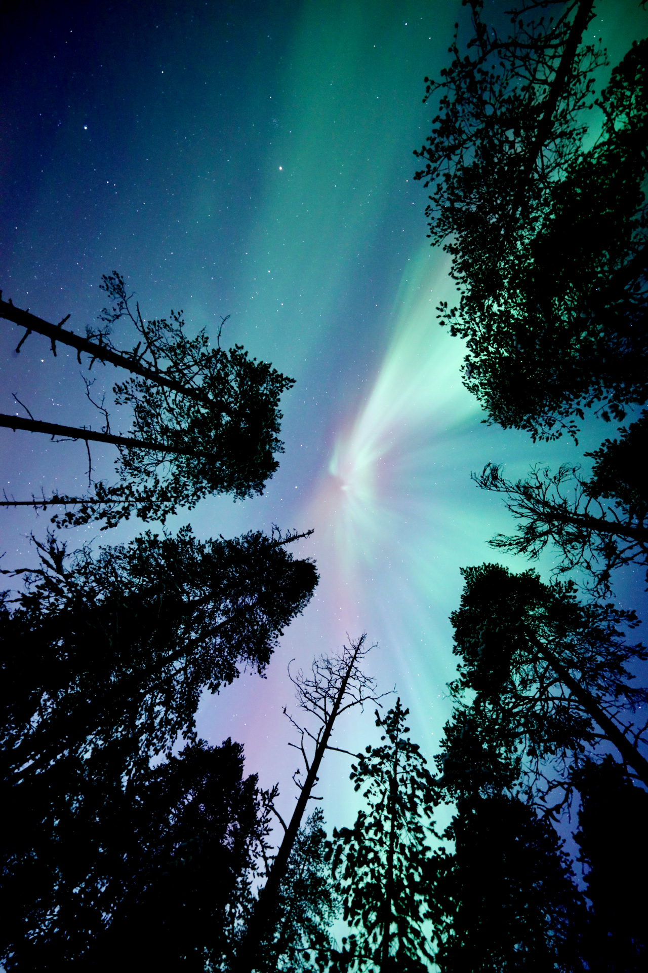 Follow the Northern Lights – Norway to Finland (Autumn 2027–Winter 2028)